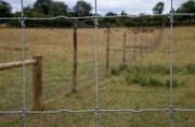 Tightlock Sauegjerde 90cm x 100m