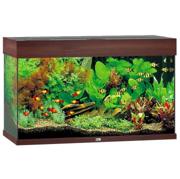 Juwel Rio 125 liter LED akvarium i sort, komplett med MultiLux-belysning og Bioflow-filter