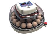 Willab-inkubator for 22 egg - fullautomatisk rugemaskin med digital display